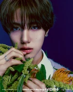 EVERSHINE Nightfall Seongmin 1.jpeg (870 KB) EVERSHINE - Nightfall ver.