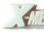 X-Men's Logo 1