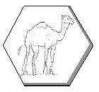 Talisman camello