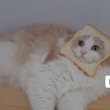 Creamheroes Chuchu Stories Highlights Photos And Videos Hashtag