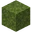 Moss Block