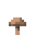 Brown Mushroom