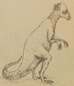 Mokele-mbembe, Cryptid Wiki