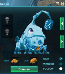 Creativerse keepa pet 2019-01-01 12-02-25-56.jpg