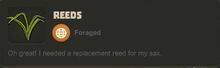 Creativerse Reeds01.jpg
