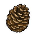 Pinecones