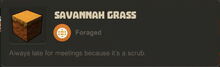 Creativerse Savannah Grass01.jpg