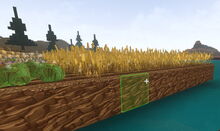 Creativerse floating crops58.jpg