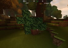 Creativerse cragwood 2019-05-26 10-12-34-39