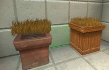Creativerse savannah tallgrass on pots but not in pots 2018-07-02 15-15-24-31.jpg