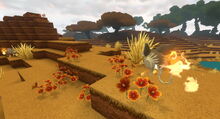 Creativerse wildflowers 2018-06-29 02-08-18-96.jpg