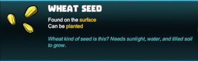 Creativerse 2018-05-30 11-59-04-40 seed.jpg