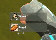 Creativerse unlock R22 Wheat Bread300