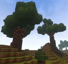 Creativerse Cragwood sizes02.jpg