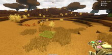 Creativerse savannah tallgrass 2018-07-02 16-25-29-21.jpg