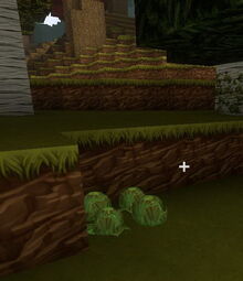Creativerse Lettuce in Woodlands388.jpg