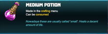 Creativerse medium potion 2017-06-23 17-46-54-89