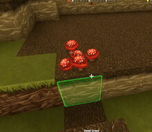 Creativerse red mushroom dead grass 2015 33386.jpg