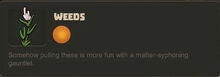 Creativerse Weeds020.jpg