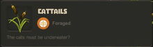 Creativerse Cattails2002.jpg