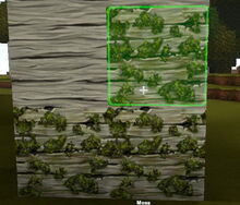 Creativerse Moss on Ashenwood01.jpg