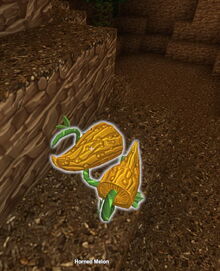 Creativerse horned melon 2018-05-30 16-18-16-78.jpg