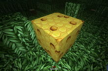 Creativerse queen bee fallow 2017-08-18 12-13-37-84.jpg