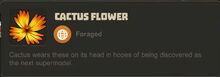 Creativerse Cactus Flower3299.jpg