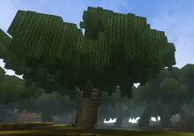 Creativerse Weepwood Swamp1191.jpg