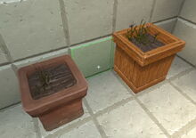 Creativerse weeds in pots 2018-07-02 15-14-09-55.jpg