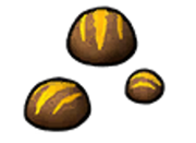 Pigsy droppings without background