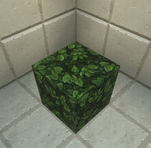 Creativerse leaves 2019-02-07 01-59-59-52.jpg
