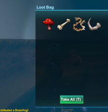 Creativerse loot bag 2019-01-04 18-09-28-50 BossHog