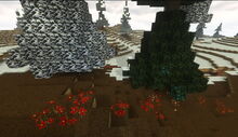 Creativerse tundra flowers 2018-06-25 14-47-22-29.jpg