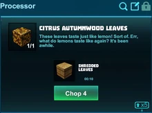 Creativerse leaves shredded leaves 2019-02-07 00-46-17-22