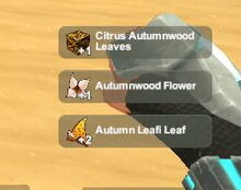 Creativerse Autumn Leafi Pet harvest3737