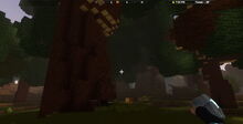 Creativerse Forest1444.jpg