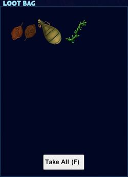 Baby leaf loot.jpg