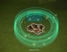 Creativerse brown mushroom fertilized growing from spores 2019-02-01 01-47-01-25.jpg