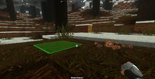 Creativerse Taiga with matted needles03.jpg
