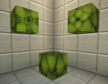 Creativerse leaves 2019-02-07 02-01-44-53.jpg