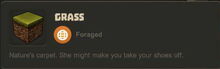 Creativerse Grass.jpg
