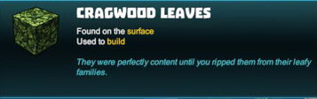 Creativerse leaves 2018-05-30 11-54-49-06.jpg