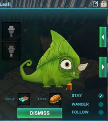 Creativerse leafi 2017-07-20 15-49-28-72.jpg