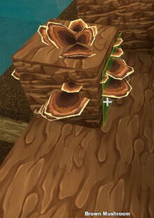 Creativerse Brown Mushroom4004.jpg