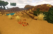 Creativerse wildflowers 2018-06-29 02-07-06-48