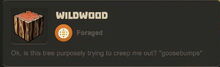 Creativerse Wildwood02.jpg