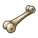 Bone