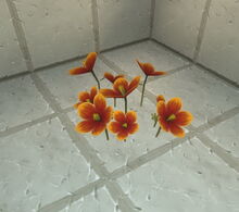Creativerse savannah flower 2018-06-19 19-19-20-64.jpg