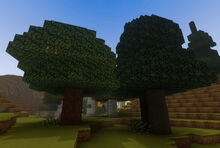 Creativerse 4x2 saplings grown of 4x4 planted 2017-07-30 09-50-22-32.jpg
